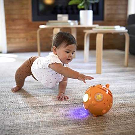 Baby Einstein 12024 Tinker's Crawl Along Songs Music Toy with 3 Colourful Lights - Image 2