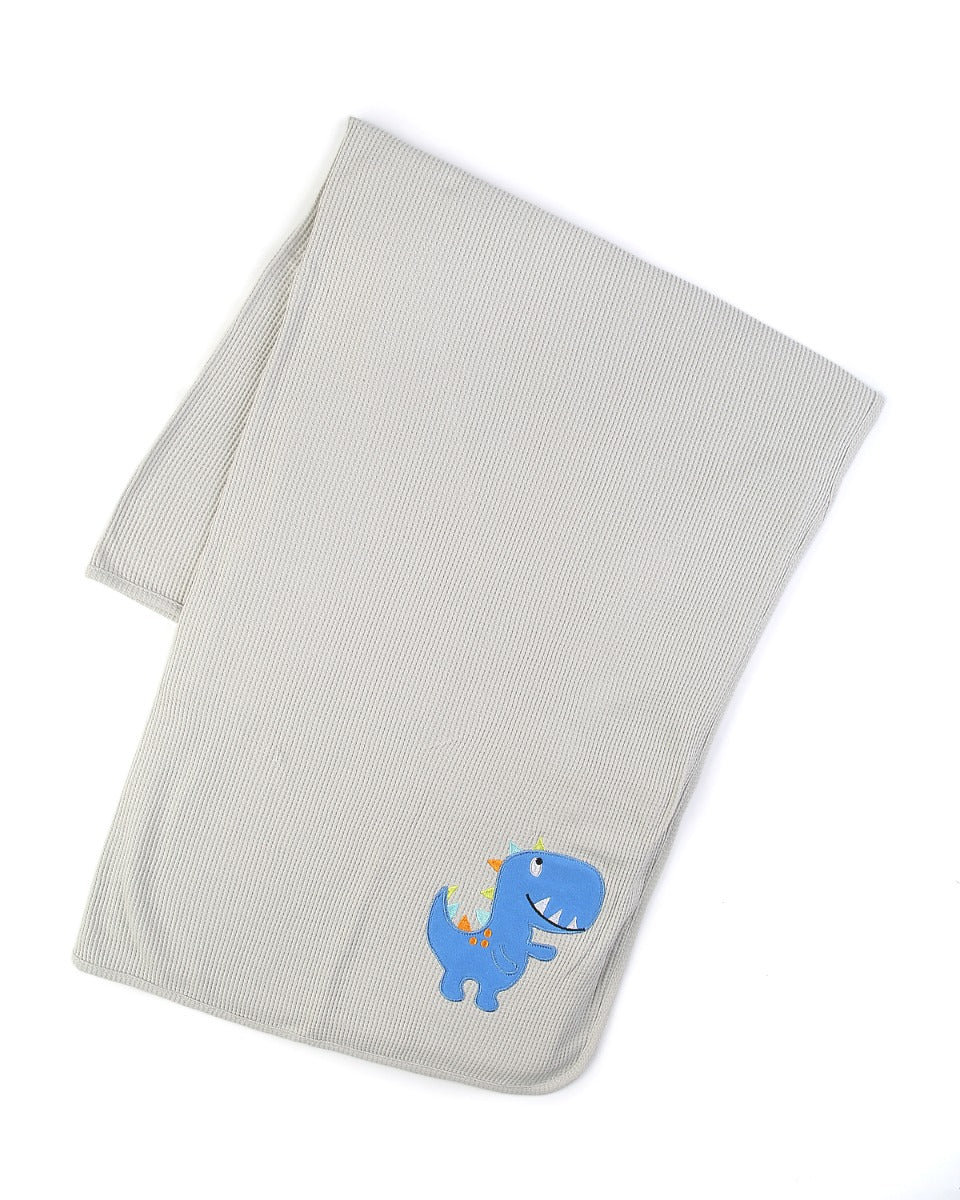 Blanket - 0250496