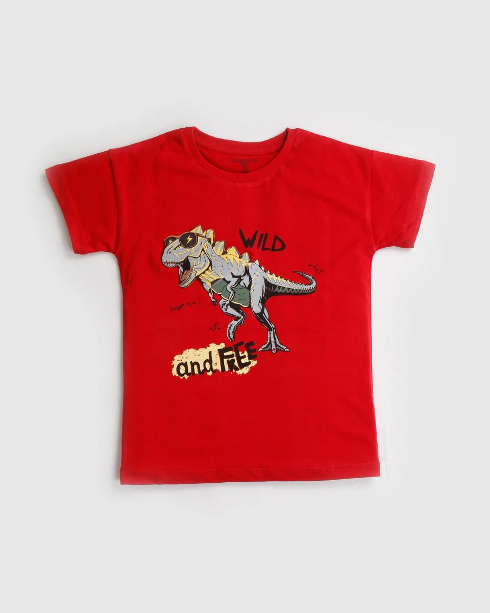 Boys Graphic T Shirt - 0246144
