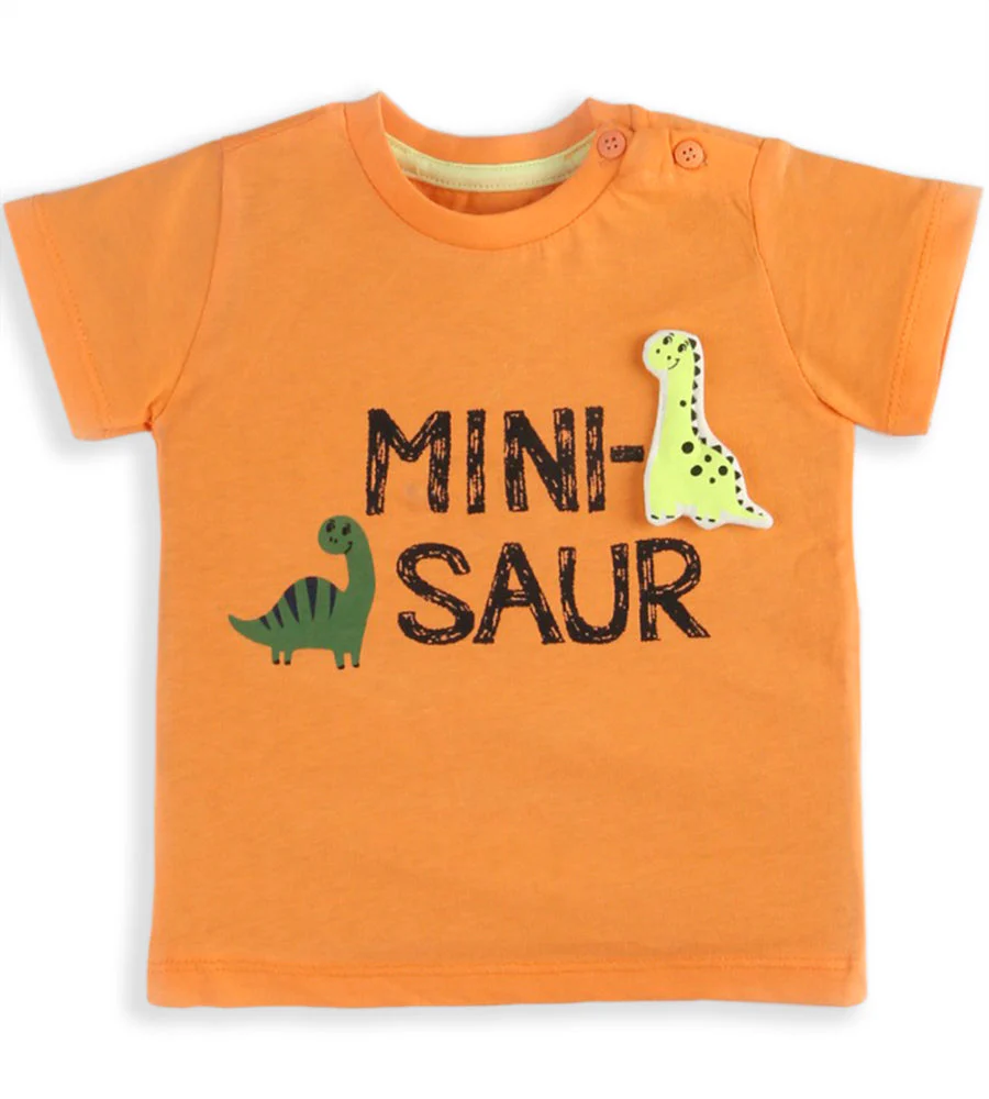 Boys Graphic T Shirt - 0246180