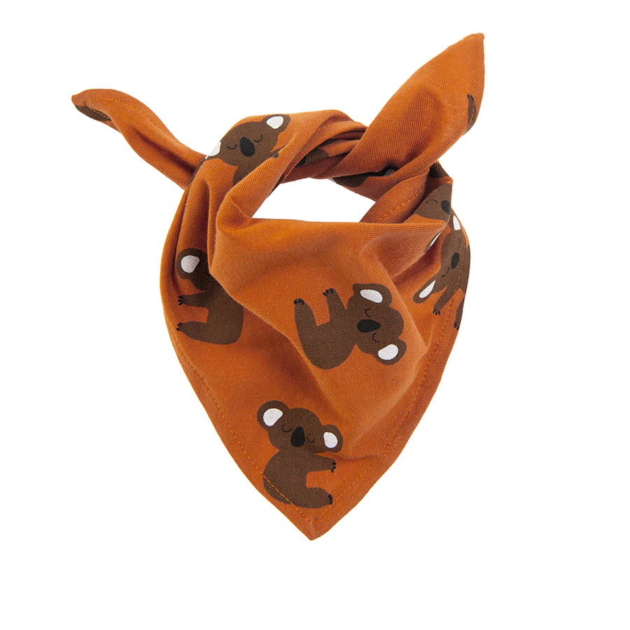 Boys Headscarf Set 2 Pcs CC CAB2401217 - Image 2