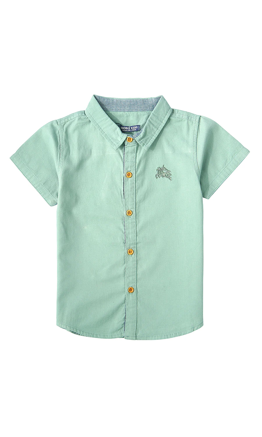Boys Summer Shirt Green