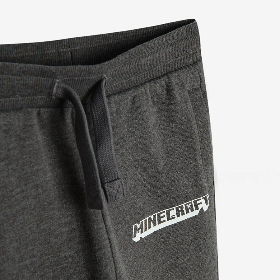 Boys' Sweat Pants Gray Melange Minecraft CC LCB2410983 - Image 3