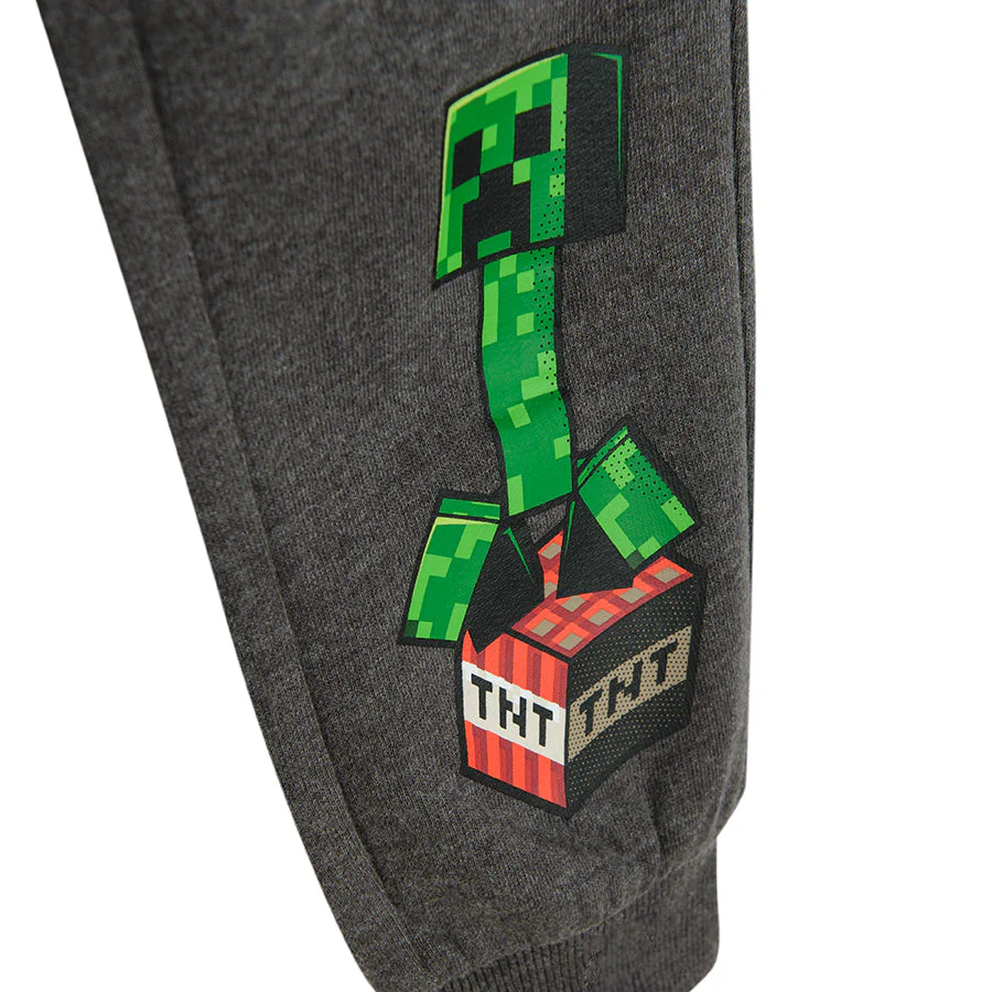 Boys' Sweat Pants Gray Melange Minecraft CC LCB2410983 - Image 4