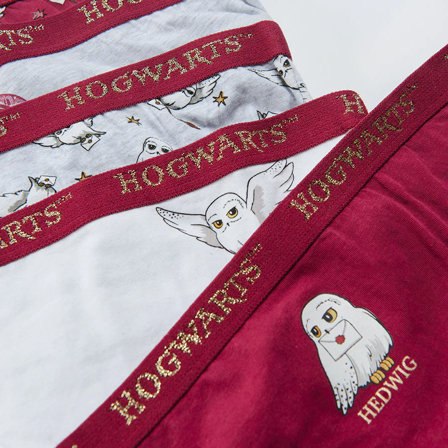 Girl's Panties Harry Potter Mix Set 5 Pcs - Image 2