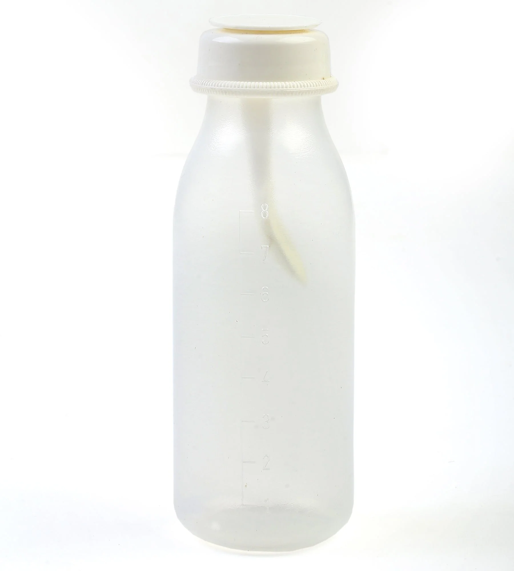 Spoon Feeder - 00175562 - Image 4